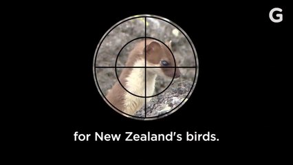 Can Gene Drives Save Our Planet?