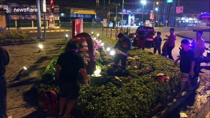 Motorcyclist falls off bridge but lands in flower bed and survives