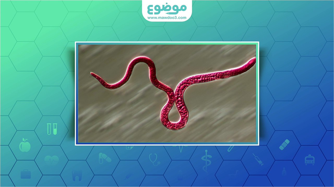 كيف اتخلص من ديدان البطن