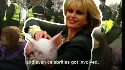 Animal sentience Social media reaction to fake news claims Dec17