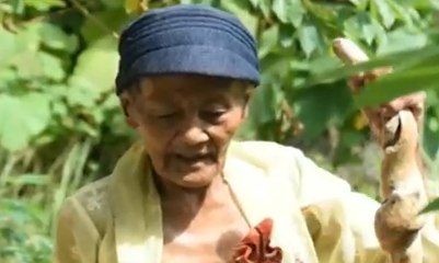 Miris… Demi Bertahan Hidup, Nenek Ini Makan Daun