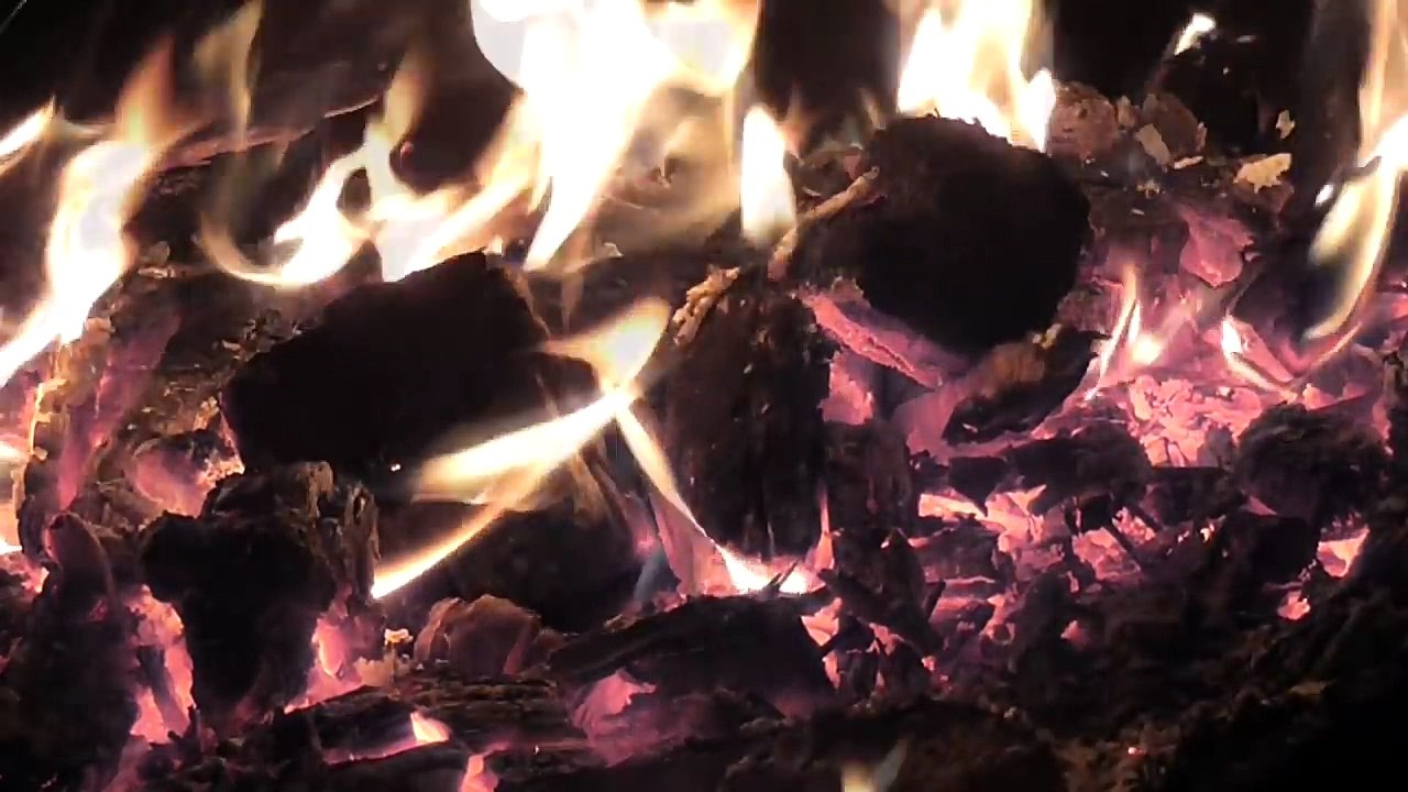 Страшные истории на ночь - ПОСЛЕДНИЙ КОВЧЕГ