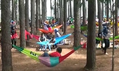 Wisata Kekinian Bernuansa Alam di Cianjur, ke Sini Yuk!