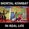 Mortal Kombat dans la vie réelle