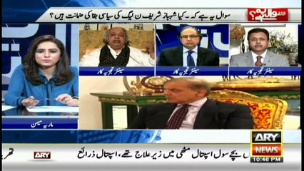 Is Shehbaz Sharif guarantee of PML-N's political survival?