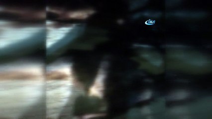 Mardin'de ahır çöktü: 74 hayvan telef oldu