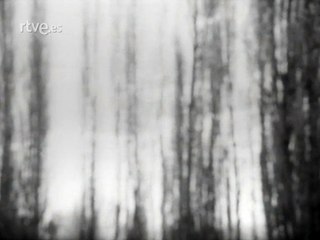 Encarnita Polo - Nube Gris