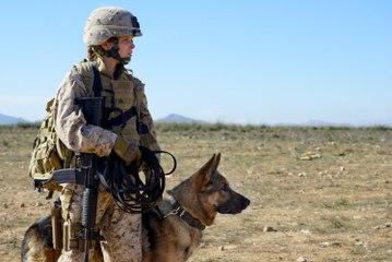 Watch Megan Leavey Full Movie