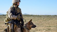 Watch Megan Leavey Full Movie