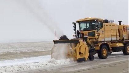 Central Illinois Sees First White Christmas in Seven Years