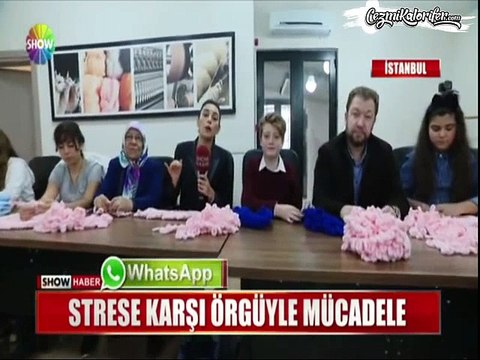 Stres Atmak İçin Örgü Ören İnsanların Yanında Kendini Belli Eden Mini Çakal