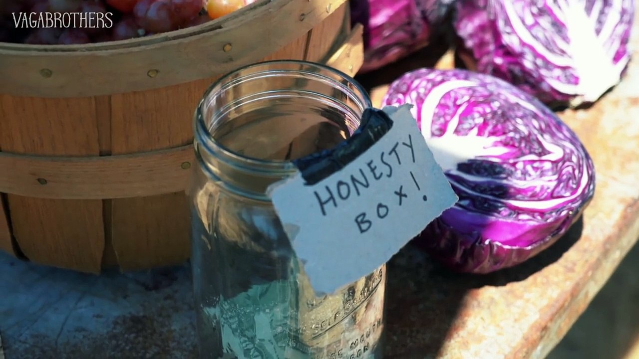 Paddle Boarding with Whales _ Beautiful Coastal California Road Trip
