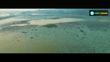 Van Long Nature Reserve, Ninh Binh Vietnam