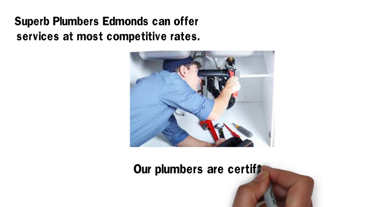 Superb Plumbers Edmonds