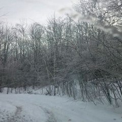Family Negotiates Icy Driveway on Christmas Eve