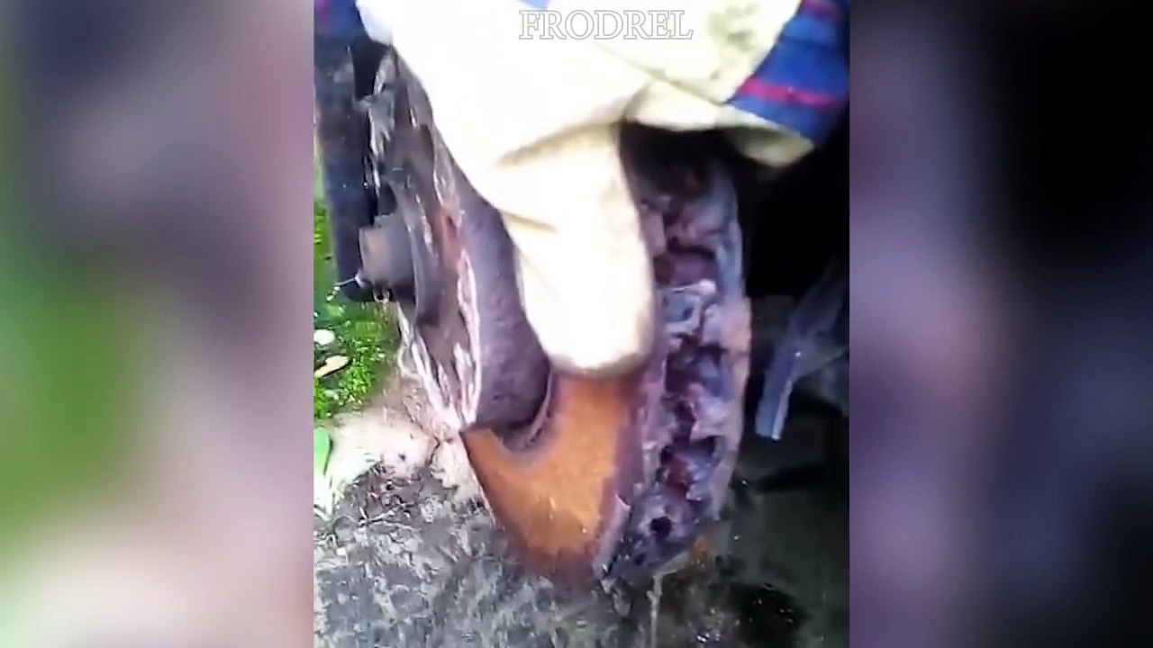 Car mechanical problems compilation LONG 3