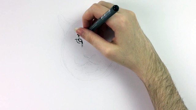 Tier-Illustrationen. Tiere zeichnen lernen. Tiger zeichnen. Mappenkurs Kunst.-Tss2JN4Ye0Y