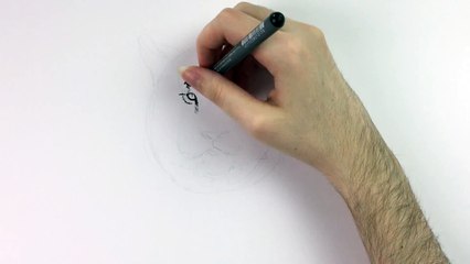 Tier-Illustrationen. Tiere zeichnen lernen. Tiger zeichnen. Mappenkurs Kunst.-Tss2JN4Ye0Y