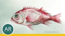 Tiere mit Aquarell zeichnen. Zeichenkurse. Beispiel Mappenkurs Kunst-g5QH9XTunG4