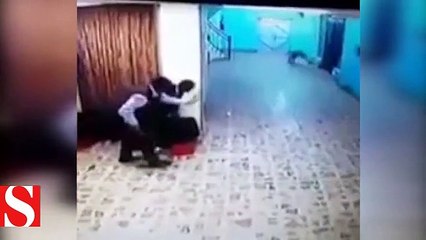 Morga girmeye çalışan sırtlan korkuttu