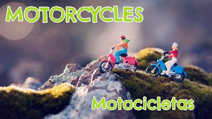 Nombres de VEHÍCULOS Y TRANSPORTES en inglés y en español - Vocabulario para niños