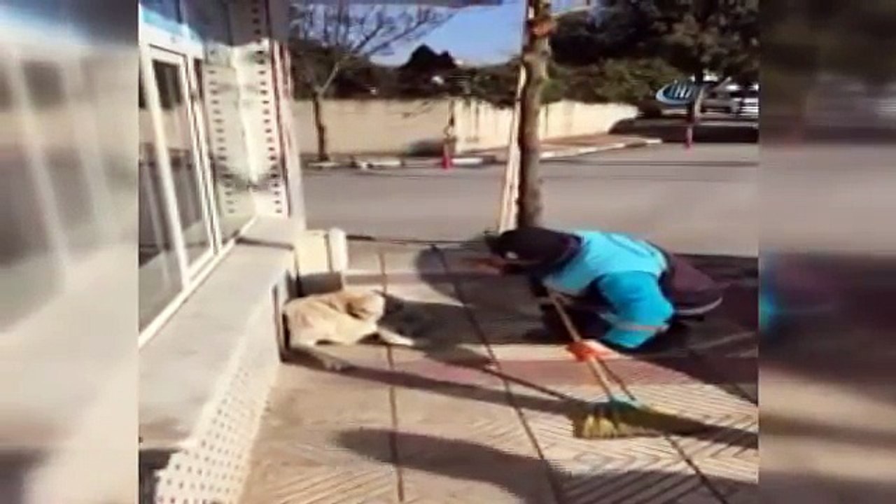 Sokak köpeğine şarkı söyleyen çöpçü sosyal medyayı salladı