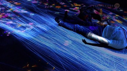 teamLab: Transcending Boundaries / Pace London