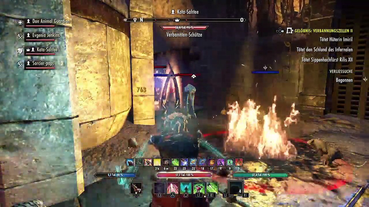 DonAleszandro The Elder Scrolls «-Verbannungszellen 2 mit Don Animal Guard-» (551)