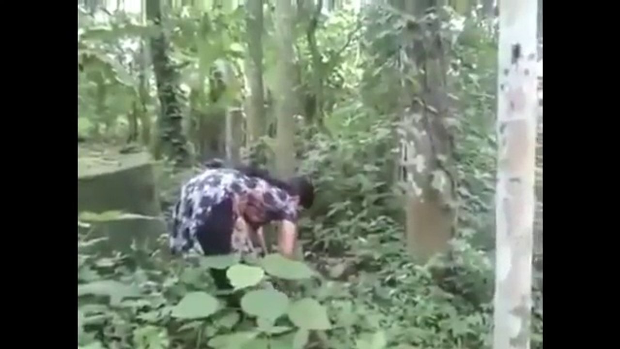 Girl is Climbing tree in Jungle