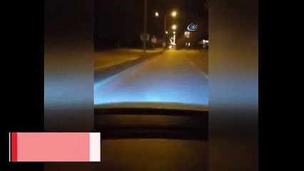 Aç kalan yaban domuzları şehre indi