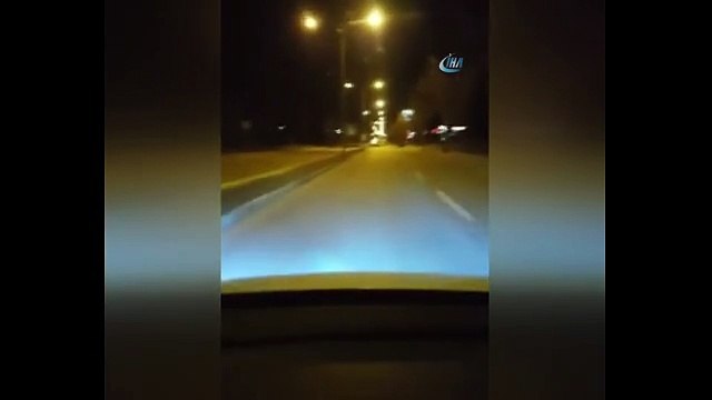 Aç kalan yaban domuzları şehre indi