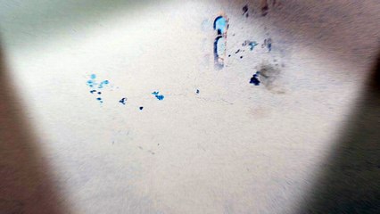 Cortinilla Telecinco - Navidad 2017