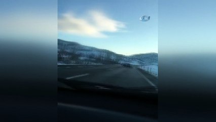 Yola inen yaban domuzu sürücülere zor anlar yaşattı