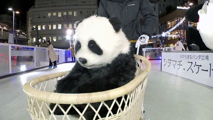 아기 판다 재롱에 빠진 日...마케팅도 봇물 / YTN