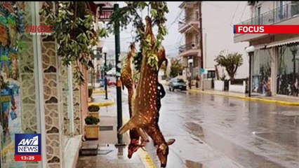 Σάλος για τη φωτογραφία από κρεοπωλείο με δύο κρεμασμένα ελάφια – Τι απαντά ο ιδιοκτήτης