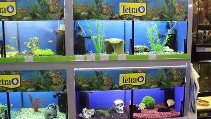 Животные в ХОРОШЕМ зоомагазине. Наши покупки