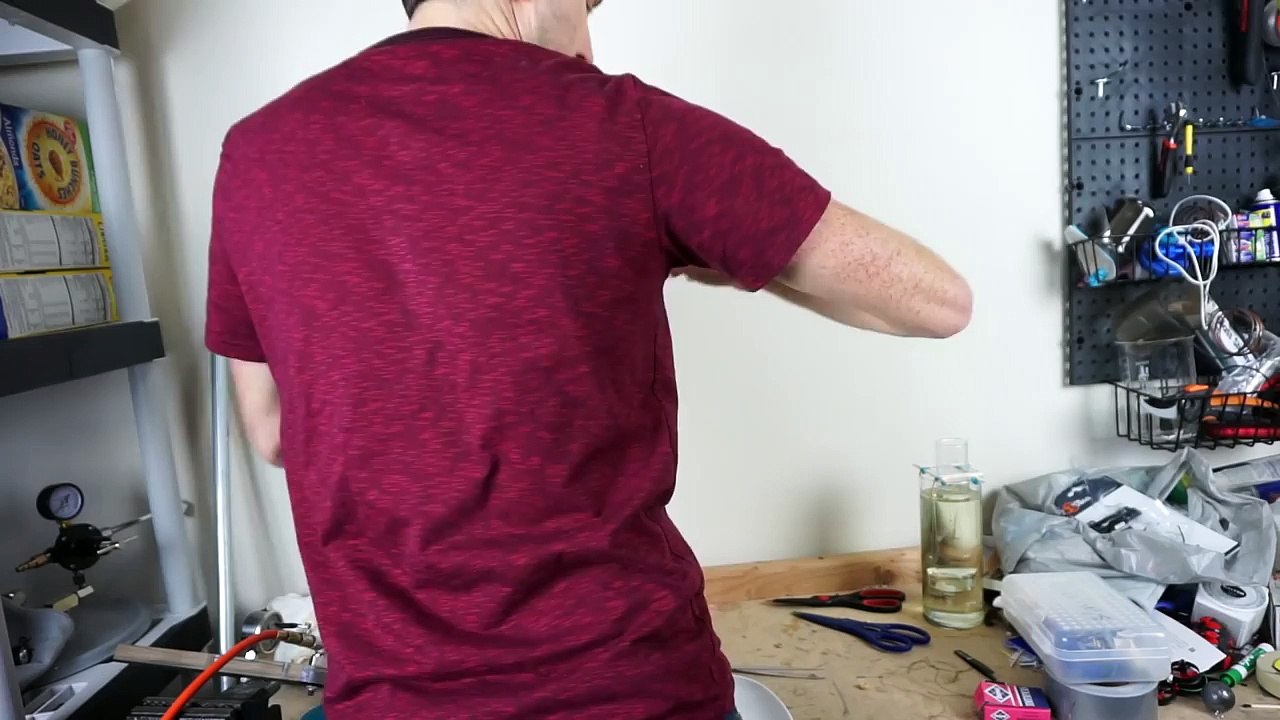 How Much Weight Can a Fly Actually Lift? Experiment—I Lassoed a Fly!