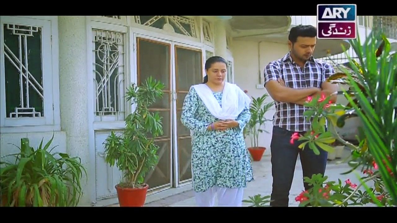 Mein Mehru Hoon Ep 21 - on ARY Zindagi in High Quality 25th December 2017