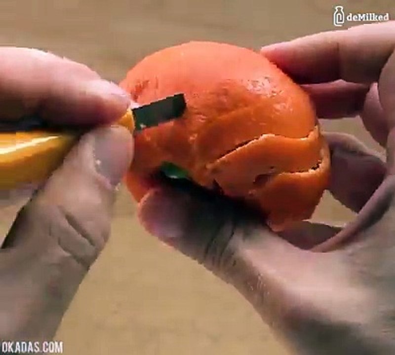 amazing fact