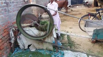 VID-20171219-WA0376