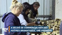 Goûteriez-vous ces huîtres parfumées ?