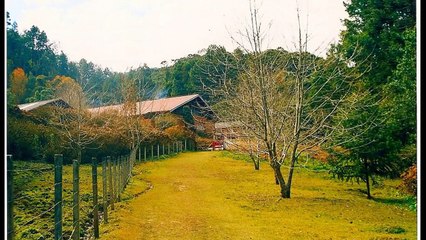 42.CHERIF KHEDDAM-Ttaruy