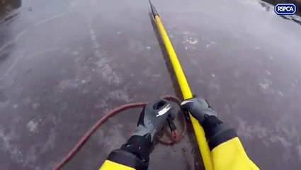 Rescate de un perro en un helado rio Ingles