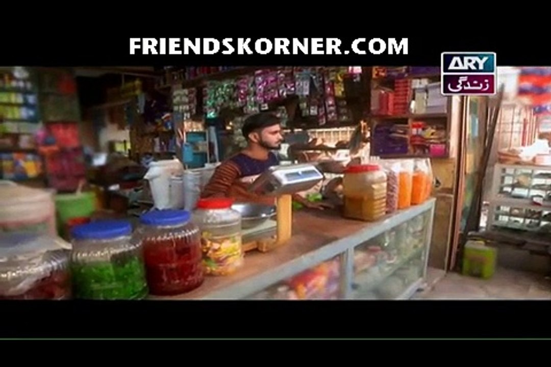 Haya Ke Rang Episode 208