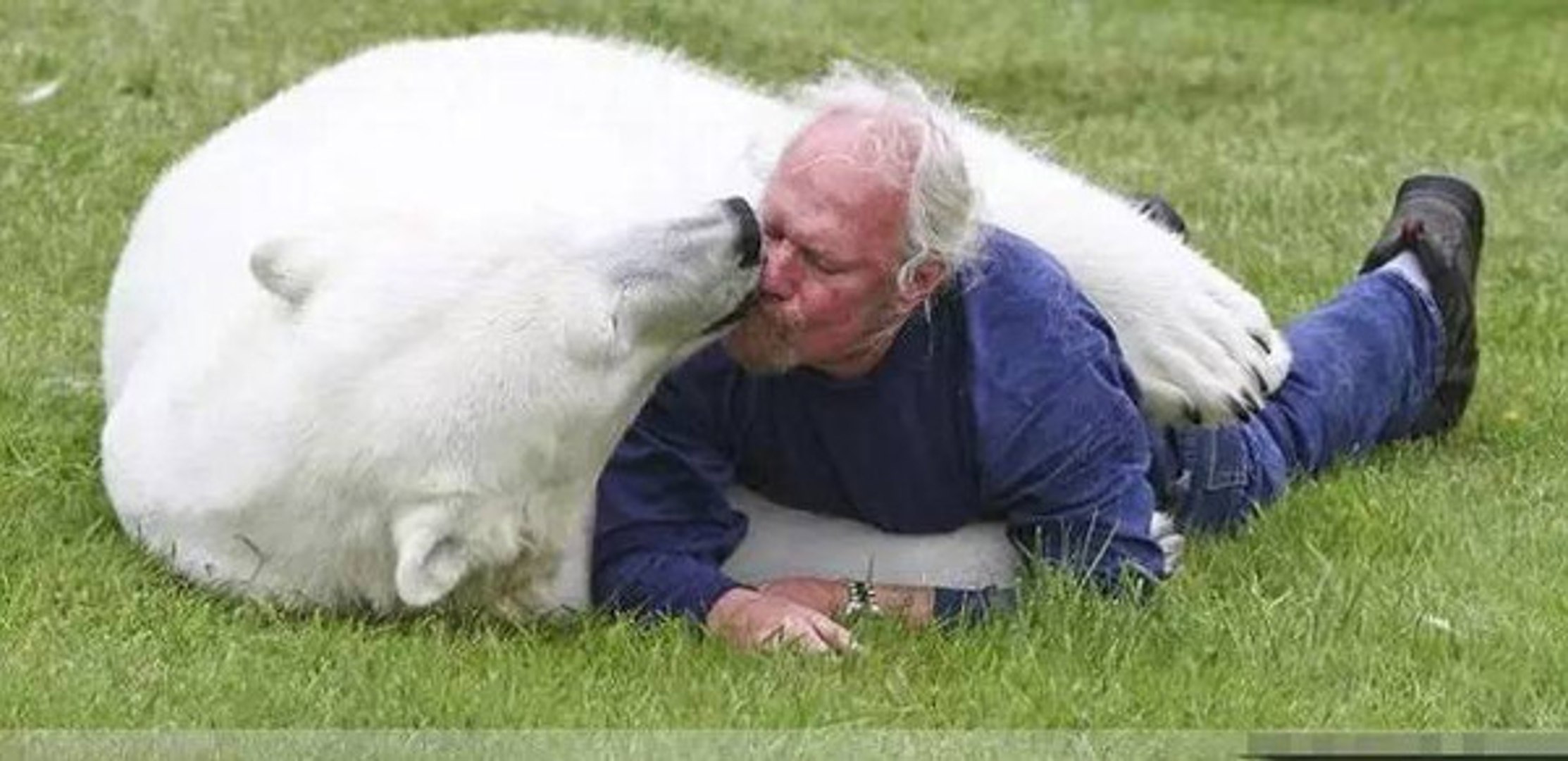 ⁣Animal Planet -  Animals and Human Odd Friendships