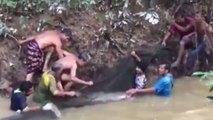 Des villageois sauvent un poisson chat géant piégé dans une marre minuscule pendant de inondations