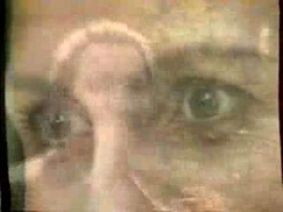 Cheb Hasni - Aaynik Ya Aaynik
