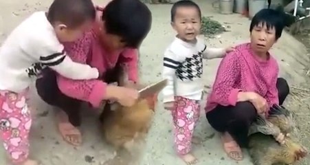 Arkadaşlık Kurduğu Tavuğun Kesileceğini Anlayan Çocuk Çığlıklarıyla Ortalığı Birbirine Kattı