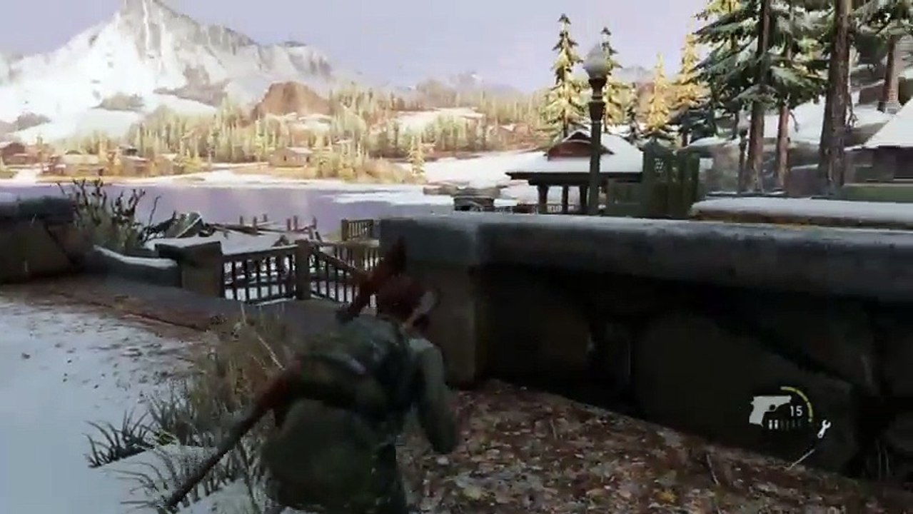 The last of us 24 (382)