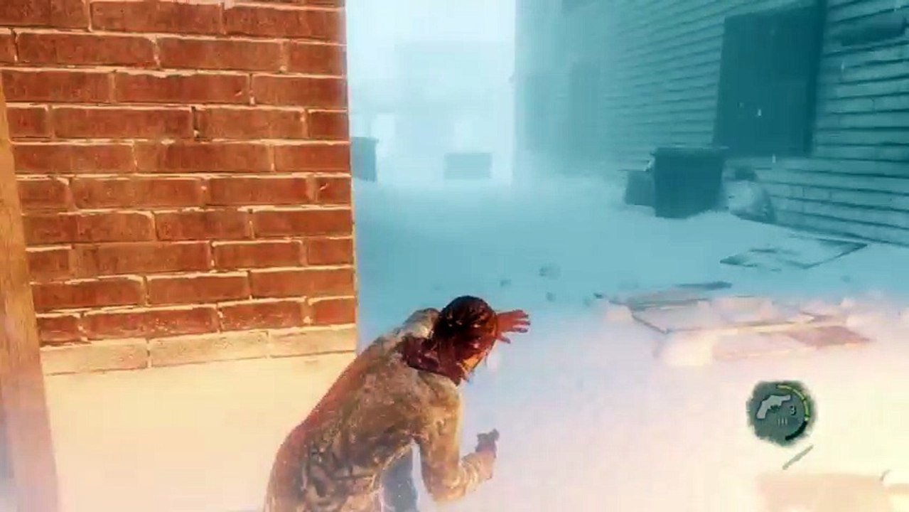 The last of us 25 (383)
